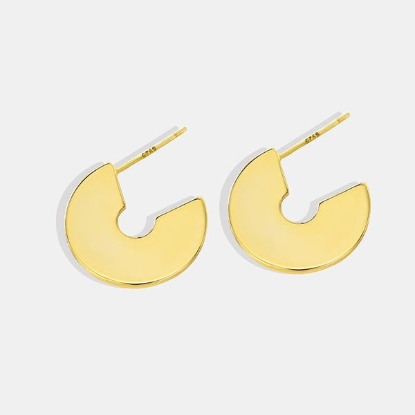 Picture of Fancy Delicate Small Earrings